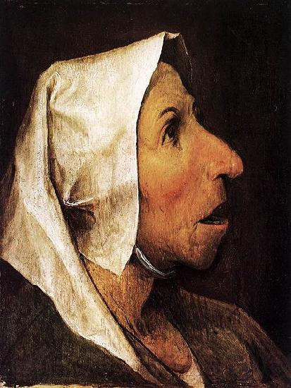 Pieter Bruegel the Elder Portrait of an Old Woman